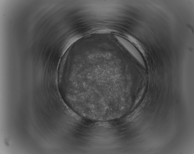 X0000091691194200709201252