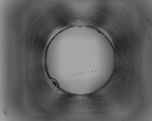 X0000091691195200709201252