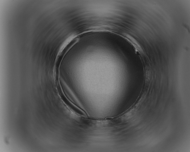 X0000091691196200709201252