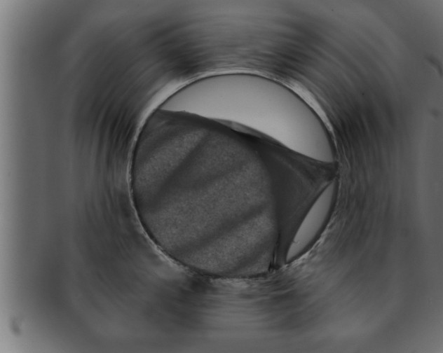 X0000091691197200709201252