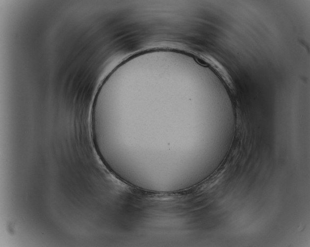 X0000091691199200709201252