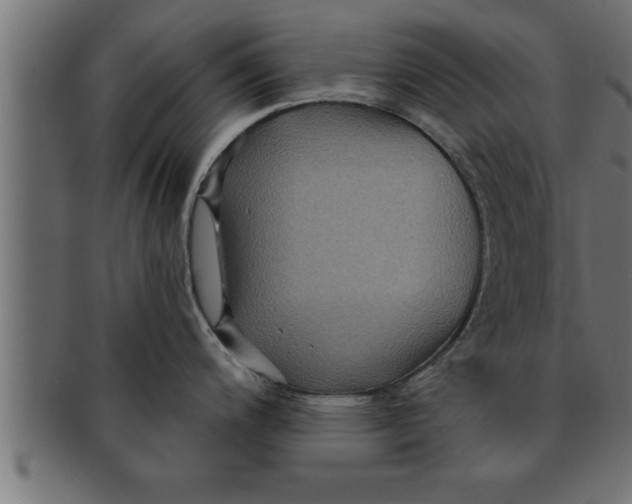 X0000091691200200709201252