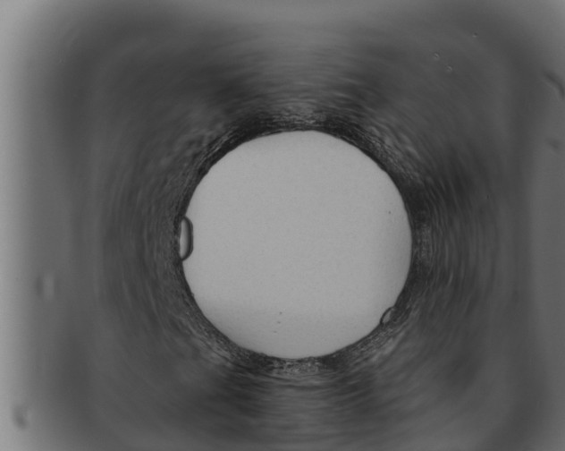 X0000091691201200709201252