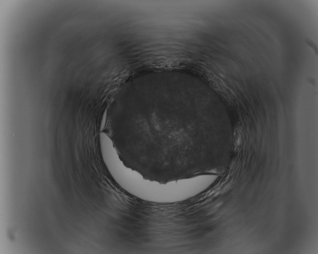 X0000091691202200709201252