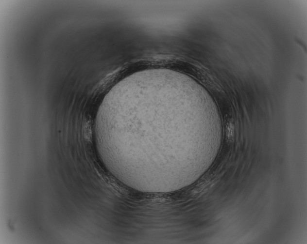 X0000091691204200709201252