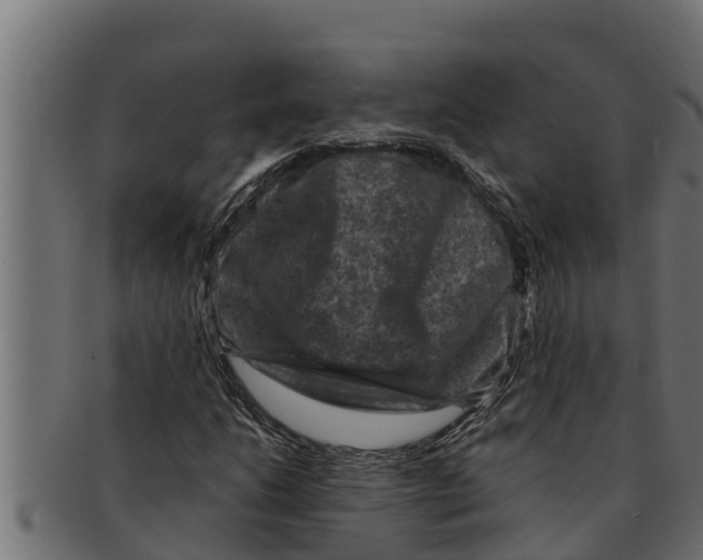 X0000091691206200709201252