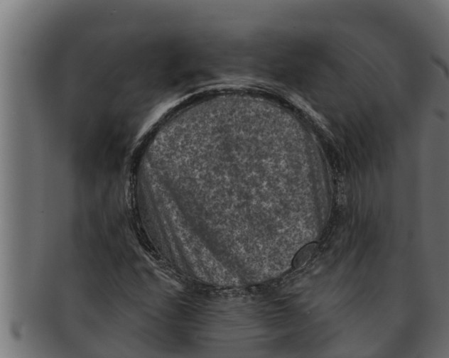 X0000091691208200709201252