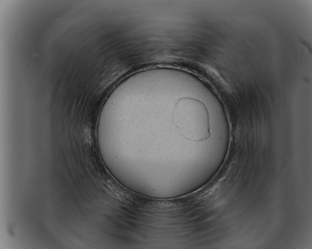 X0000091691209200709201252