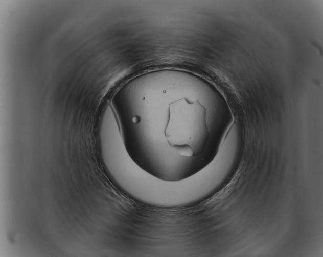 X0000091691210200709201252