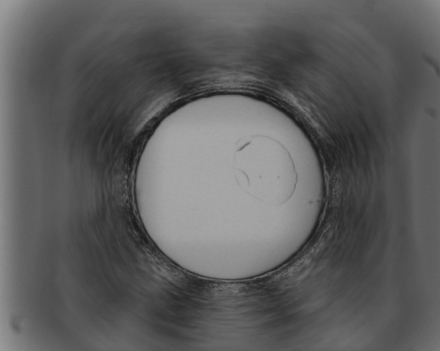 X0000091691211200709201252