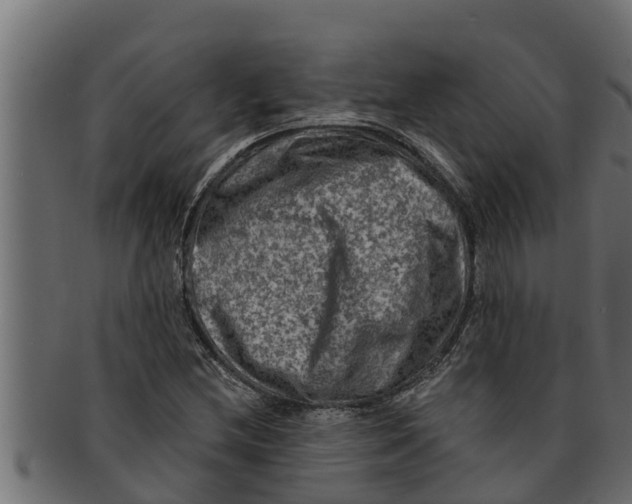 X0000091691212200709201252