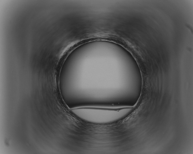 X0000091691214200709201252