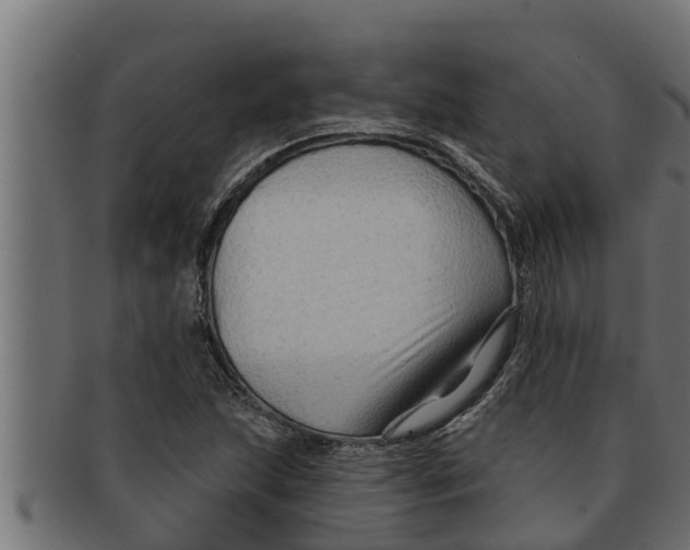 X0000091691215200709201252