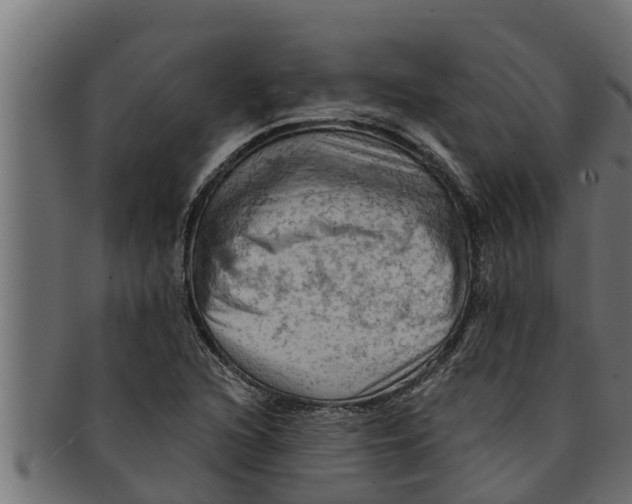 X0000091691216200709201252