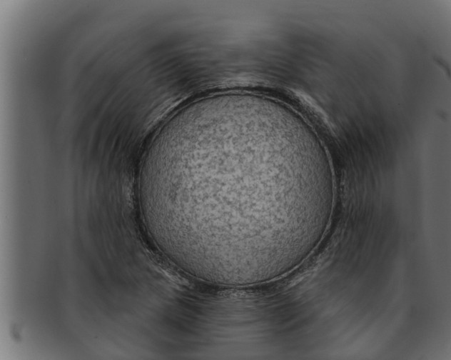 X0000091691217200709201252