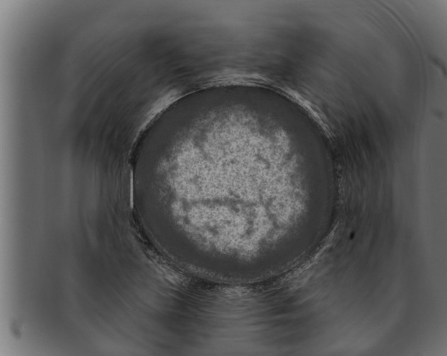 X0000091691219200709201252