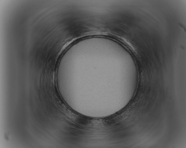 X0000091691220200709201252