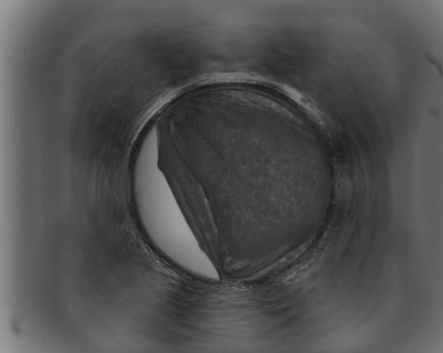 X0000091691221200709201252