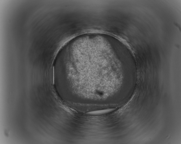 X0000091691223200709201252