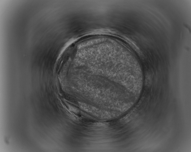 X0000091691224200709201252