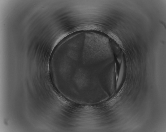 X0000091691226200709201252