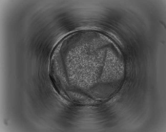 X0000091691228200709201252