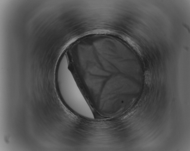 X0000091691229200709201252