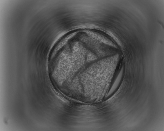 X0000091691232200709201252