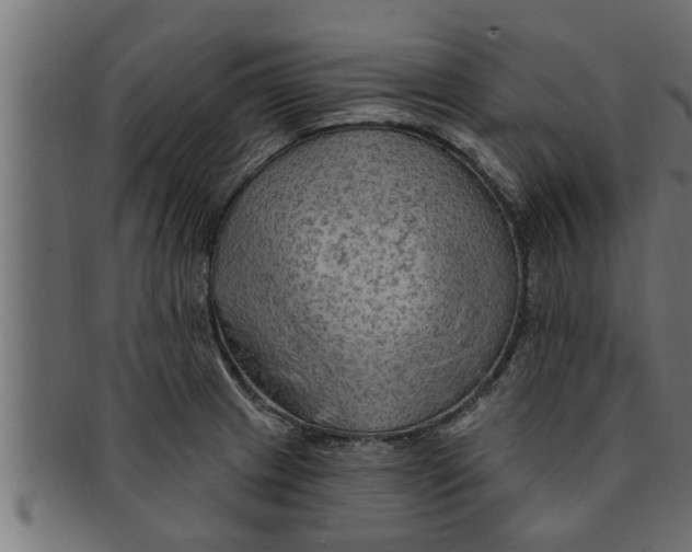 X0000091691233200709201252