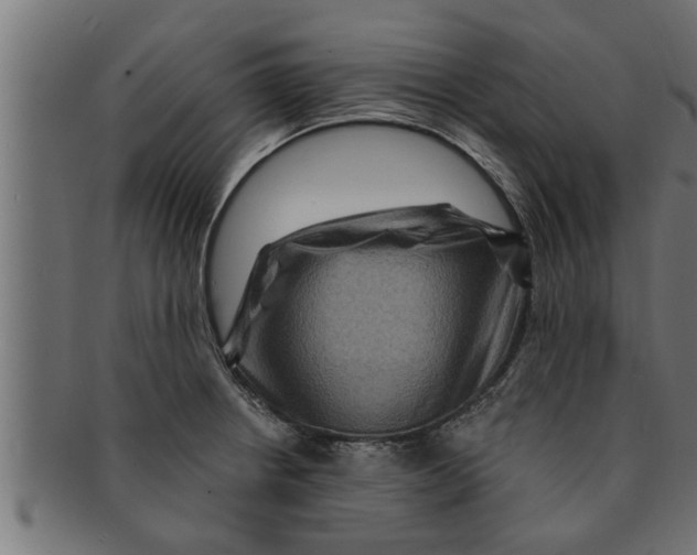 X0000091691234200709201252