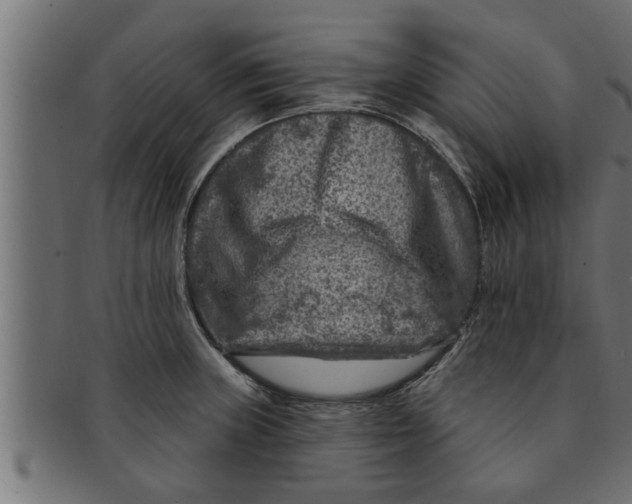 X0000091691235200709201252