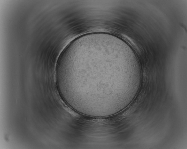 X0000091691236200709201252