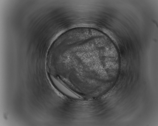 X0000091691237200709201252