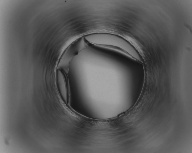 X0000091691238200709201252