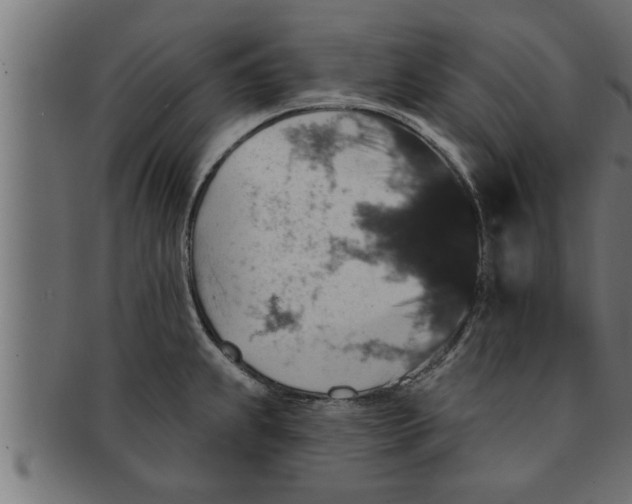 X0000091691239200709201252