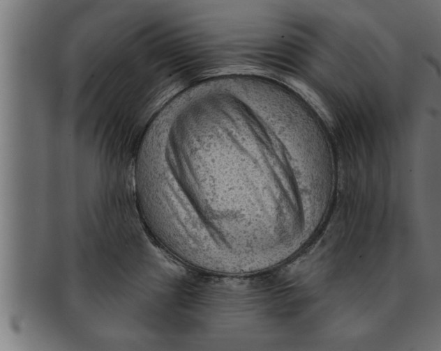 X0000091691241200709201252