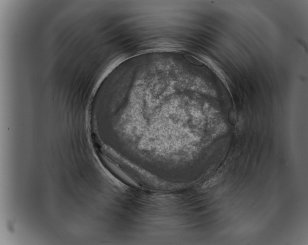 X0000091691243200709201252