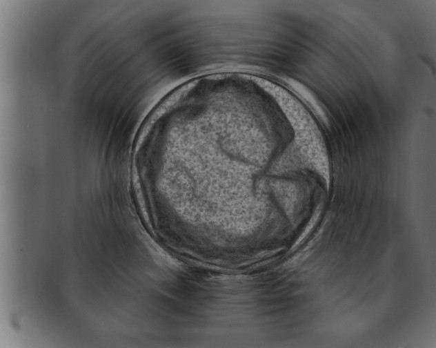 X0000091691244200709201252