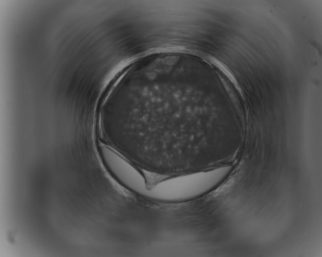 X0000091691245200709201252