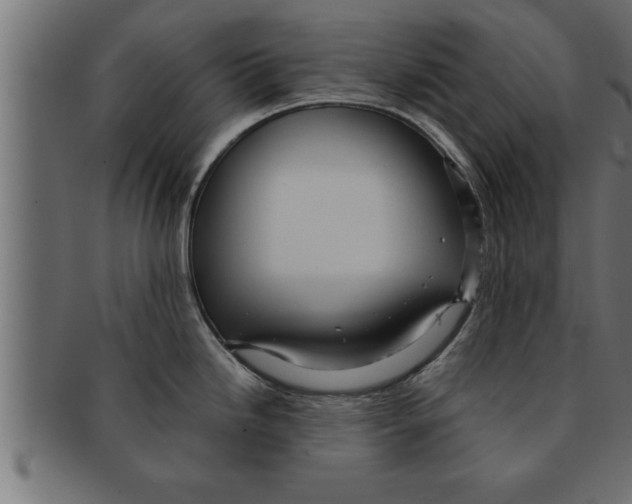 X0000091691246200709201252