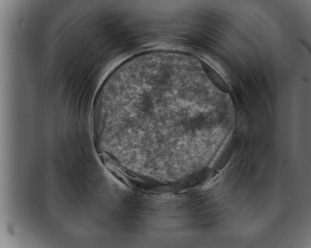 X0000091691247200709201252