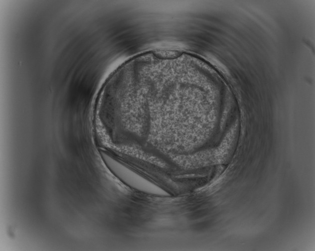 X0000091691248200709201252