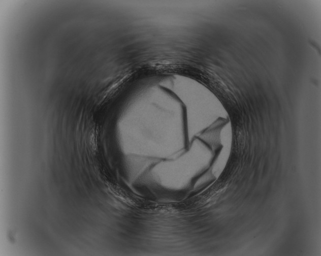 X0000091691250200709201252