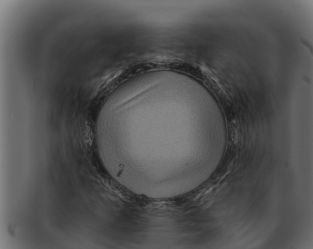 X0000091691253200709201252