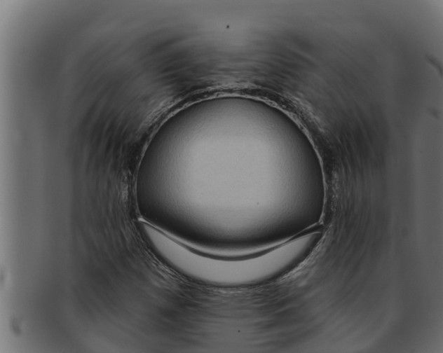 X0000091691257200709201251