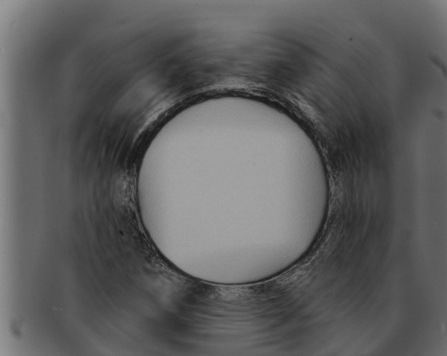 X0000091691258200709201251