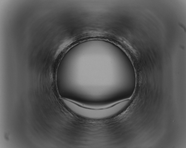 X0000091691261200709201251