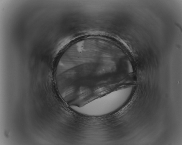 X0000091691263200709201251