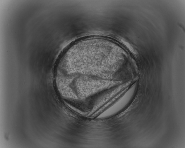 X0000091691264200709201251