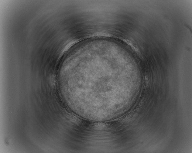 X0000091691266200709201251